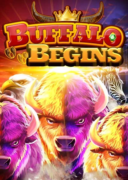 buffalo-begins