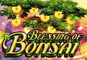 Blessing of Bonsai