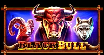 black-bull