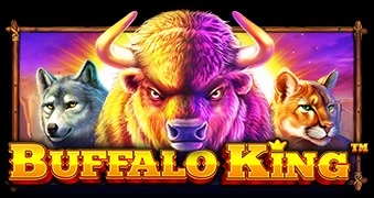 buffalo-king