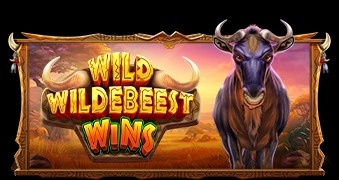 wild-wildebeest-wins