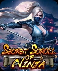 Secret Scoll Of Ninja